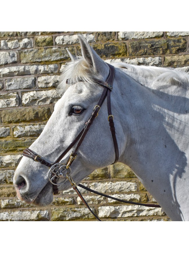 BR102 Rome Bridle with Reins - Available in Cob or Full - Black or Havana, Pick'n'Mix